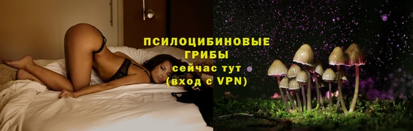 PSILOCYBIN Богородицк