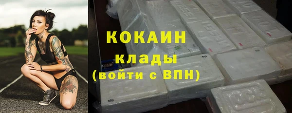 PSILOCYBIN Богородицк
