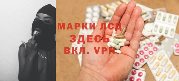 PSILOCYBIN Богородицк