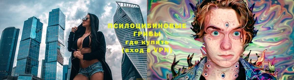 PSILOCYBIN Богородицк