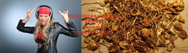 Альфа ПВП Богданович