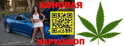 гашик Нарткала