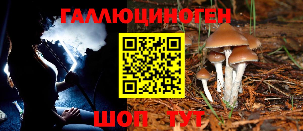 Сланцы  Псилоцибиновые грибы Magic Shrooms  Вход с VPN 