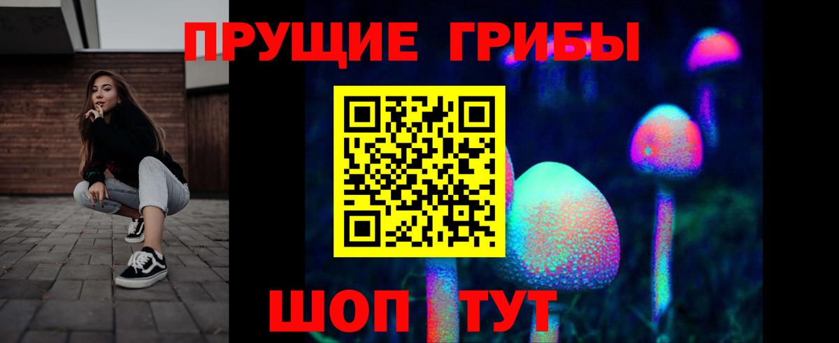 Галлюциногенные грибы Cubensis Сланцы