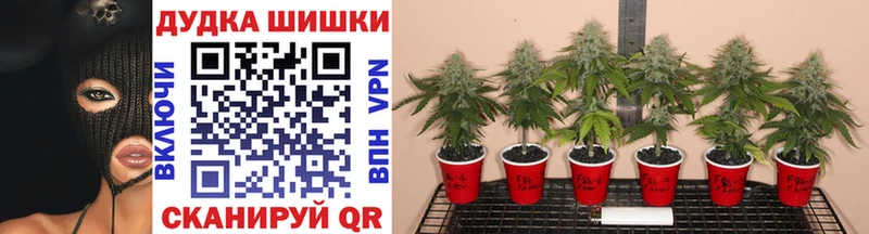 kraken зеркало  Сланцы  Конопля тримм 